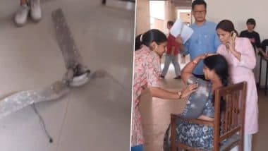 Delhi College Mishap: Assistant Professor Sustains Head Injury As Fan Crashes on Her Head at Kalindi College, Video Surfaces