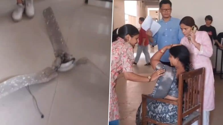 Fan Crashes on Assistant Professor’s Head at Kalindi College in Delhi