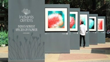 Business News | A Blooming Surprise: Colgate India's New Campaign Turns Discovery Into Realisation