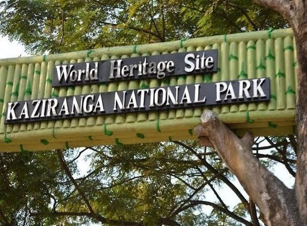 India News |  Assam's Kaziranga National Park Witnesses Record Number of Tourist Footfall in FY2024-25
