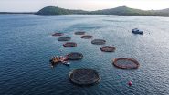 Business News | Empire Foods and Oceanpick Team Up to Bring Premium Round Island Barramundi to India's Food Service Scene