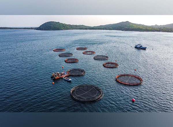 Business News | Empire Foods and Oceanpick Team Up to Bring Premium Round Island Barramundi to India's Food Service Scene