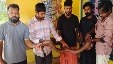 India News | Kerala: Five Held for Illegal Possession of Two-toed Sand Boa in Kannur