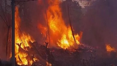 India News | Delhi: Fire Breaks out at Vacant Plot in Shaheen Bagh Area
