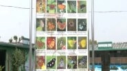 India News | Uttarakhand Opens Its First Butterfly Gallery in Dehradun; over 100 Species Displayed