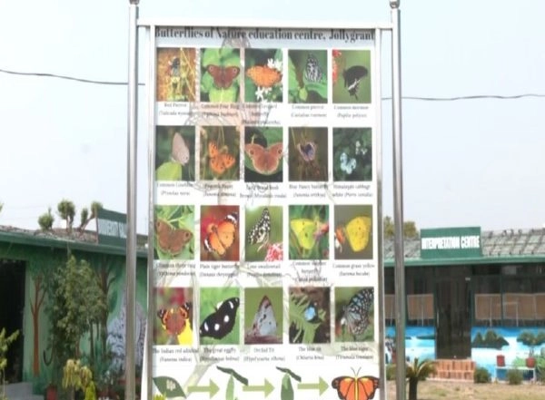 India News | Uttarakhand Opens Its First Butterfly Gallery in Dehradun; over 100 Species Displayed
