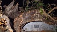 India News | Bihar: Storm, Rains Wreak Havoc in Nalanda, 22 People Dead