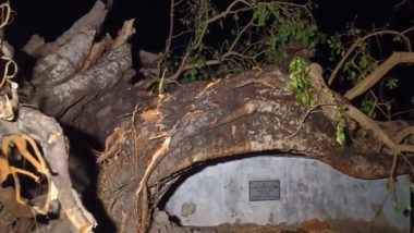 India News | Bihar: Storm, Rains Wreak Havoc in Nalanda, 22 People Dead