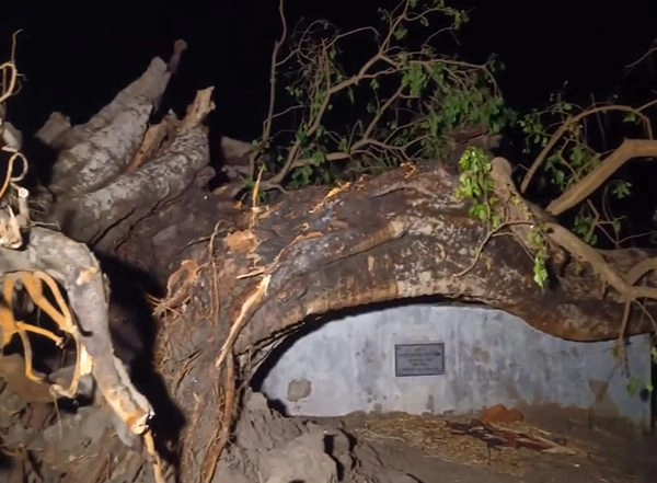 India News | Bihar: Storm, Rains Wreak Havoc in Nalanda, 22 People Dead