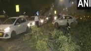 India News | Delhi Sees Dust Storm, Trees Fall in Some Areas