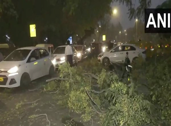 India News | Delhi Sees Dust Storm, Trees Fall in Some Areas