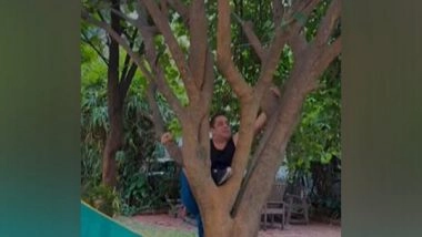 Entertainment News | Salman Khan Effortlessly Climbs Tree, Shuts Down Trolls for Questioning His Fitness