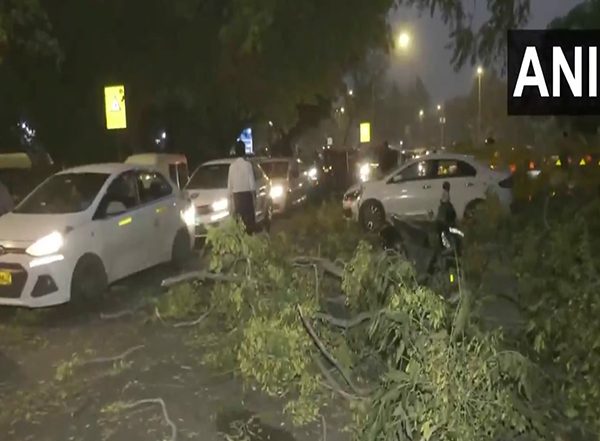 India News | Rains, Dust Storms Cause Power Disruptions in Various Parts of Delhi