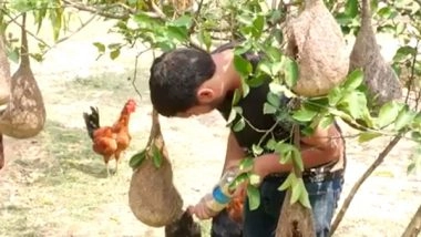 India News | 18-year-old Creates 150 Bird Nests to Save Sparrows