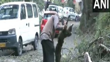 India News | 'Storm Caused Heavy Crop Damage; No Casualties Yet': HP Revenue Minister