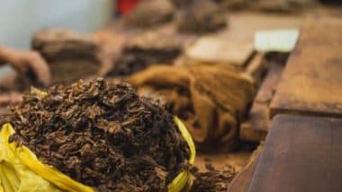 Business News | In Relief to Tobacco Farmers, Government Notifies Three-year Validity for Grower Registrations and Barn Licenses