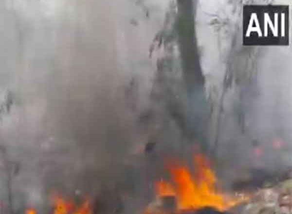 India News | Delhi: Fire Breaks out in Forest Area Near ITO