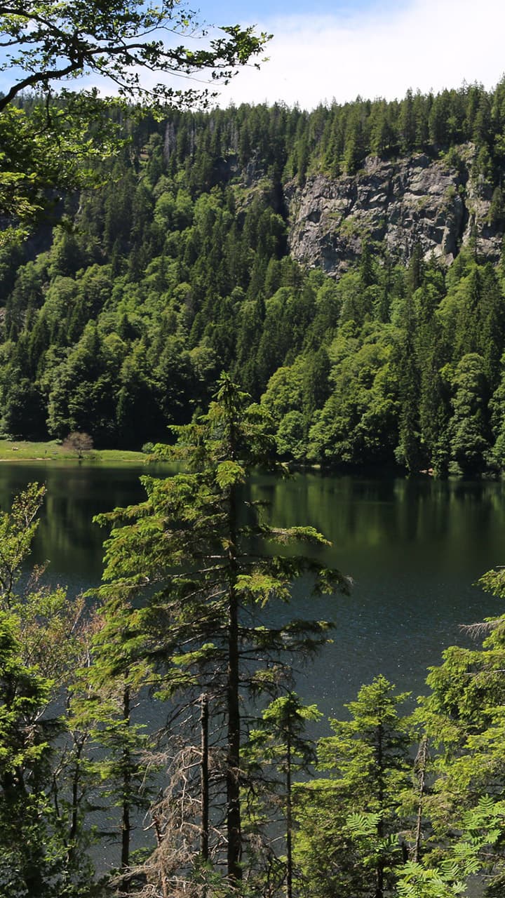 Black Forest, Germany