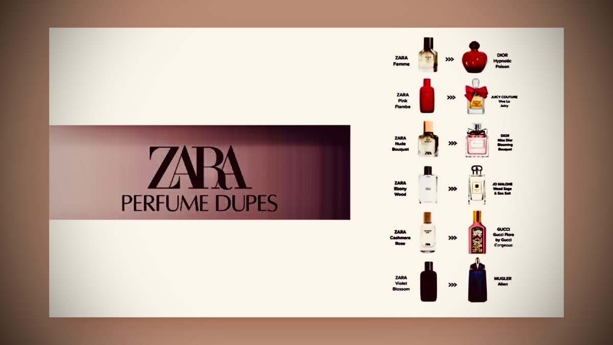 Best Zara Perfume Dupes That Smell Like Amazing Designer Fragrances 