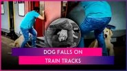 Dog Falls on Train Tracks After Man&rsquo;s Reckless Attempt to Board Moving Rajdhani Express Fails, Video Goes Viral