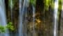 Nature’s Majesty: 7 Stunning Forests, Mountains & Lakes Around the World