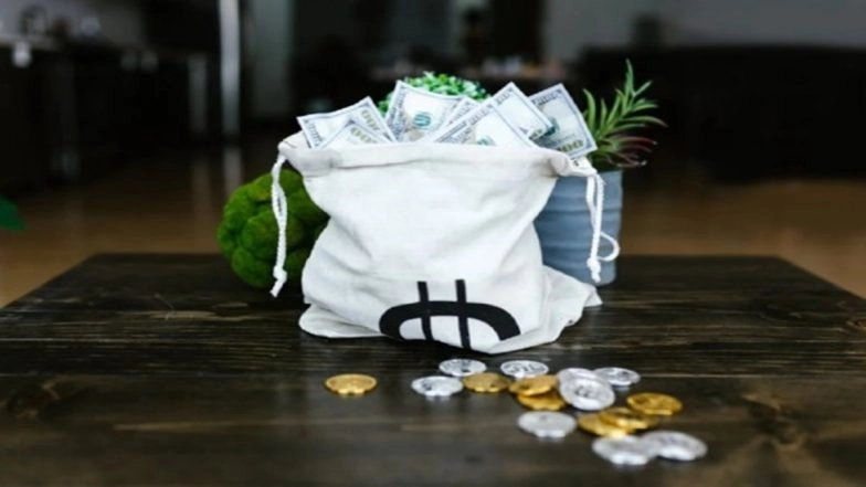 RBI: India's Foreign Exchange Reserves Climb to USD 677.84 Billion, Sixth Weekly Gain