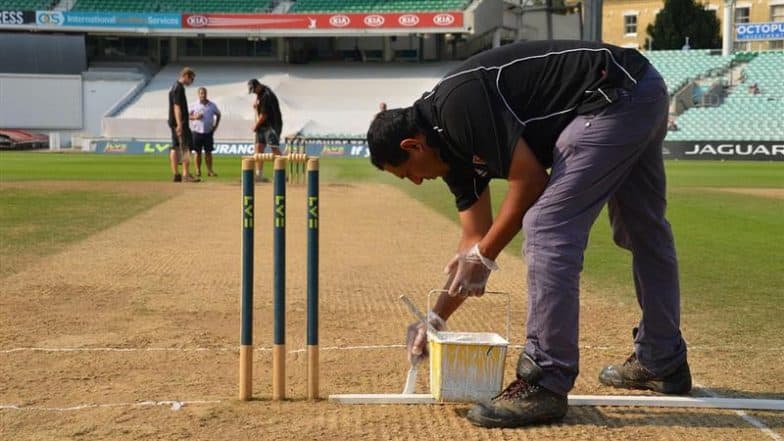 How Many Creases Are There in Cricket? Find the Correct Answer To Unlock Today’s Google Search Googly