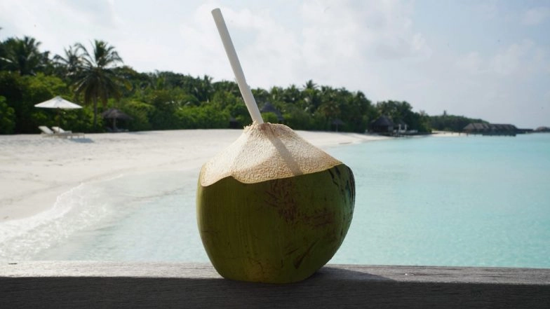 Death Due to Coconut Water: Denmark Man Dies From Brain Infection After Drinking From Spoilt Coconut Left Unrefrigerated