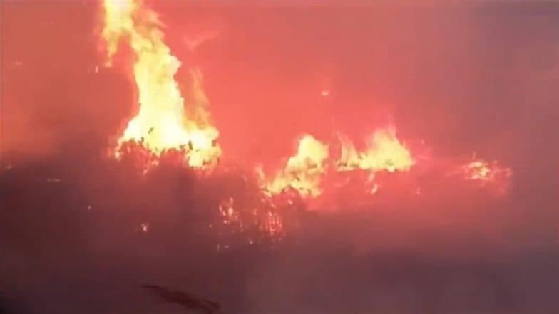 Shaheen Bagh Fire: Blaze Erupts in a Vacant Plot in Delhi, Several Fire Tenders Rushed to Spot (Watch Video)