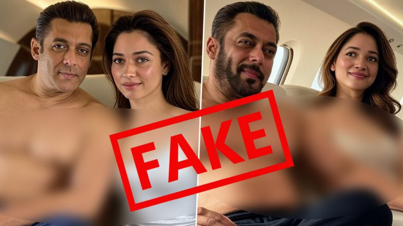 Fact Check: Salman Khan and Tamannaah Bhatia Caught on Private Jet Together? Know Truth Behind Viral Photo