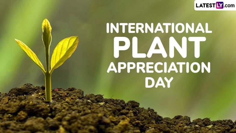 When Is International Plant Appreciation Day 2025? Date & Significance Explained 