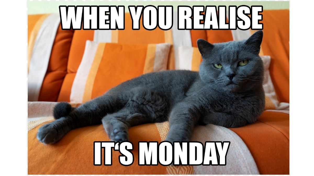 Just when you thought you survived the weekend, Monday shows up uninvited.