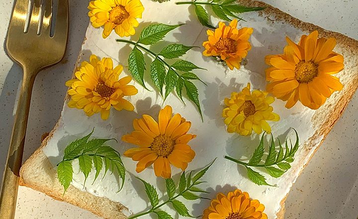 New Food Trends of 2025 That Everyone Will Be Talking About