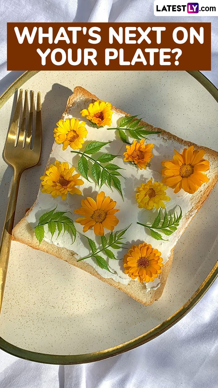 What's Next on Your Plate?