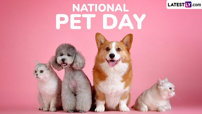 National Pet Day 2025 Date in US: Know Meaning and Significance of the Day That Encourages Adoption of Various Pets From Shelters