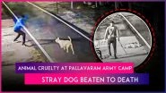 Indian Army Personnel Beats Stray Dog to Death at Pallavaram Camp, Disturbing Video Goes Viral