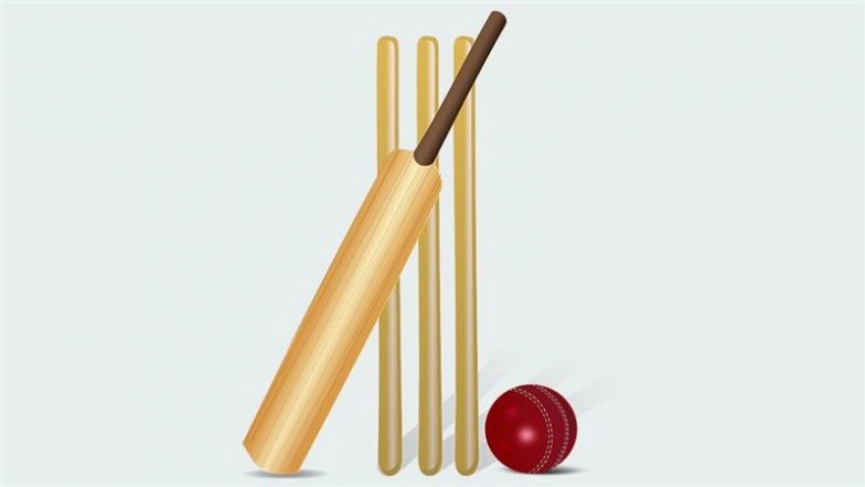 Number of Stumps in Cricket: Find the Correct Answer To Unlock Today's Google Search Googly