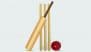 How Many Stumps Were There in Cricket Originally? Find the Correct Answer To Unlock Today's Google Search Googly