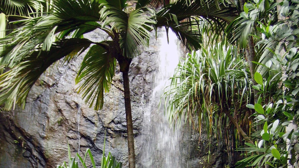 A UNESCO World Heritage Site home to the rare coco de mer palm. A UNESCO World Heritage Site home to the rare coco de mer palm.