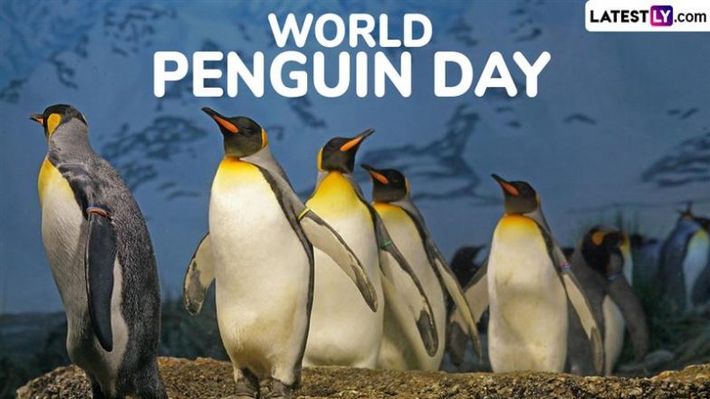 World Penguin Day 2025 Date and Significance: Everything To Know About the Day That Calls For the Protection and Conservation of Penguins