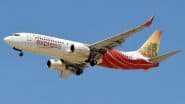 Air India Cancels 8 Domestic and International Flights, Cites Maintenance and Operational Reasons; Check Full List Here