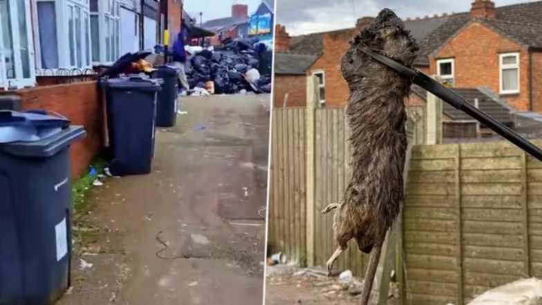 Rats Run Riot in Birmingham: UK Government Calls In Military Planners To Tackle Health Crisis of Mounting Rubbish and Rats on Streets of Birmingham City (See Pics and Videos)