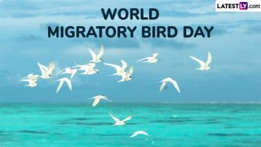 When Is World Migratory Bird Day 2025? Know Date & Significance of the Day 
