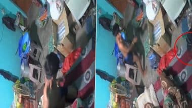 Baghpat Snake Bite Video: Youth Dies After Venomous Black Cobra Bites Him in Sleep in Uttar Pradesh