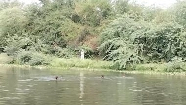 Delhi: 2 Brothers Drown While Bathing in Kondli Canal, Search and Rescue Operation Underway (Watch Videos)