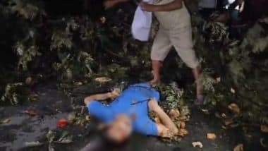 Greater Noida: Teacher Dies As Uprooted Tree Falls on Him During Storm in NTPC Township (Disturbing Video)