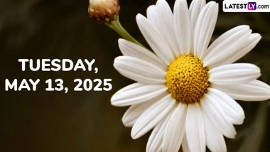 May 13, 2025 Festivals, Holiday and Events: Today Special Day Includes Narada Jayanti, Top Gun Day and More