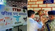 ITBP Sets Up First-Ever Veterinary Field Hospital in Naxal-Affected Mohla-Manpur-Ambagarh Chowki District in Chhattisgarh (See Pics)