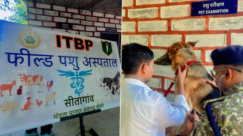 ITBP Sets Up First-Ever Veterinary Field Hospital in Naxal-Affected Mohla-Manpur-Ambagarh Chowki District in Chhattisgarh (See Pics)