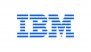 Why Did IBM Stock Price Fall 13% Today, February 24?
